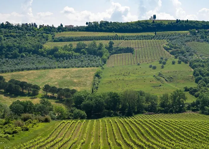 La Casa Di Madina - Flo Villa