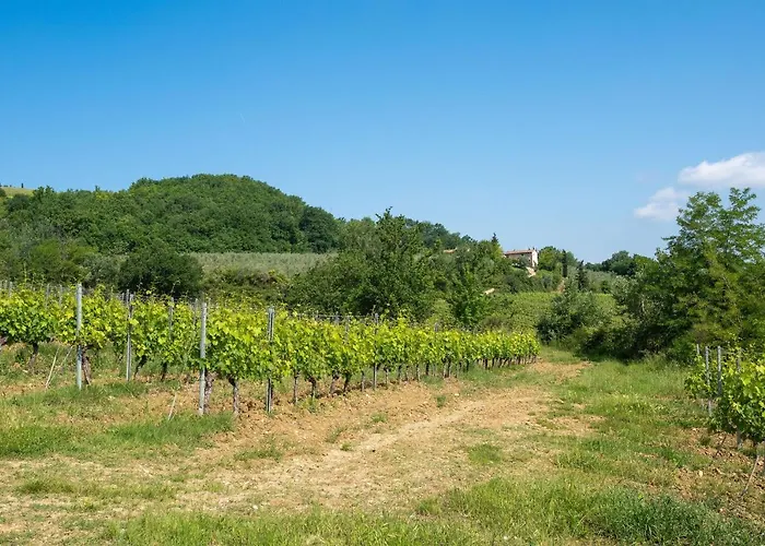 La Casa Di Madina - Flo